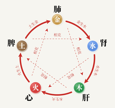 五行脏腑相生相克流转图